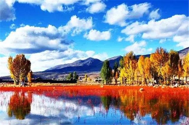 双凯智能：说走就走旅行？有TA更轻松
